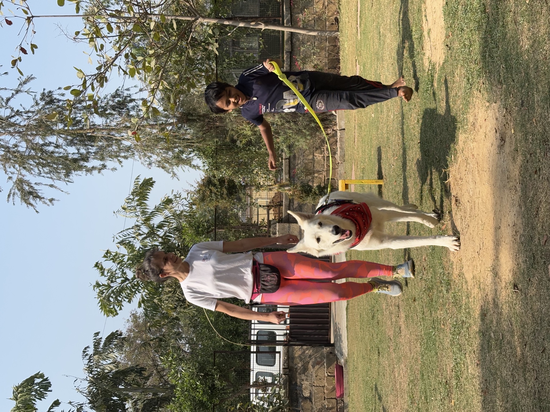 A child walking a therapy dog during an Animal Assisted Therapy session