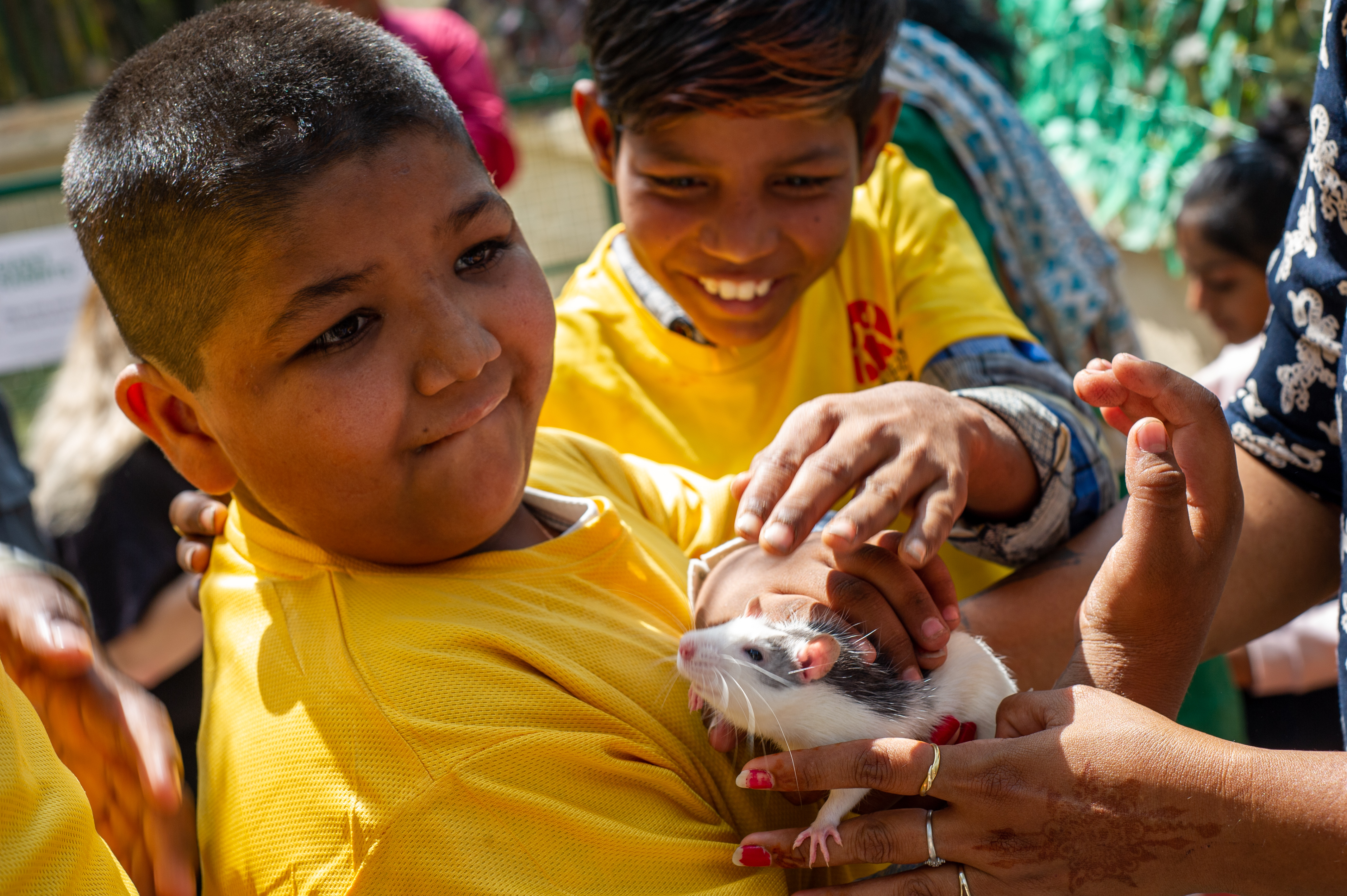 Two smiling boys gently holding an ambassador rat at the sanctuary