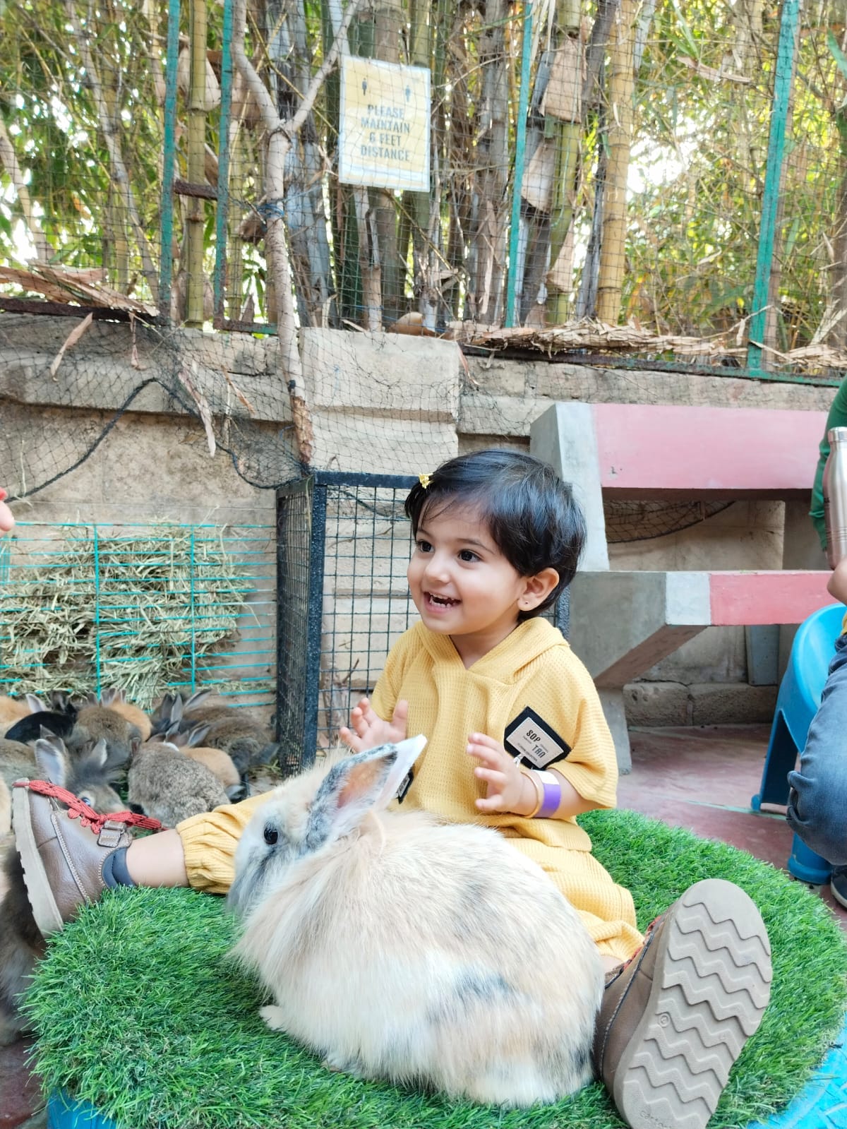 A child bonding with an animal during a humane education visit